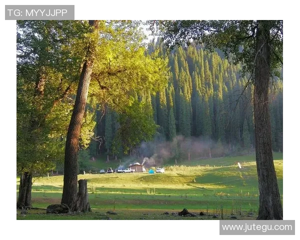 红星对阵根特精彩直播全程回顾与赛后分析尽在这里