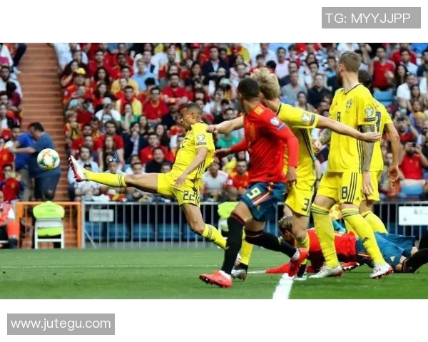 法国与瑞典精彩对决全场录像回放及精彩瞬间分析