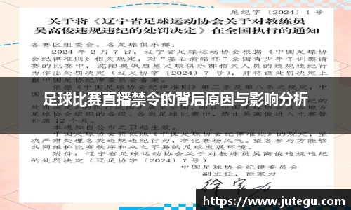 足球比赛直播禁令的背后原因与影响分析