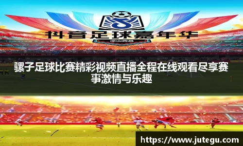 骡子足球比赛精彩视频直播全程在线观看尽享赛事激情与乐趣