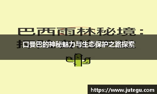 亿兆体育手机网页版登录