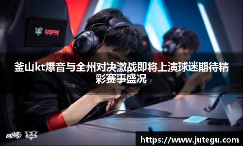 xcsports官网入口